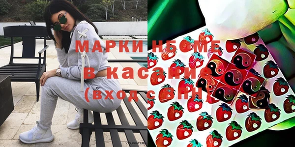 прущие грибы Пестово