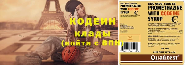 прущие грибы Пестово