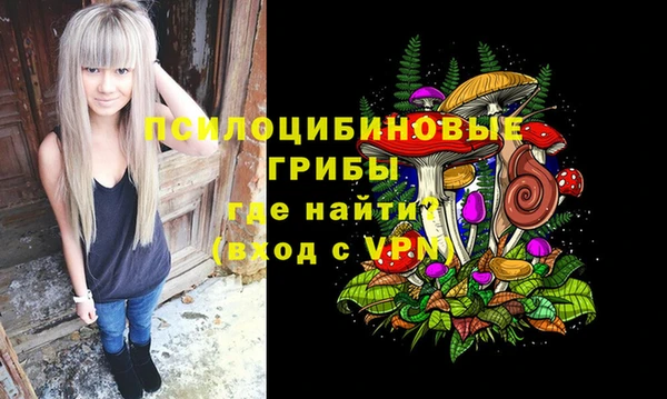 прущая мука Пересвет