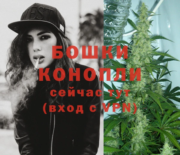 прущие грибы Пестово