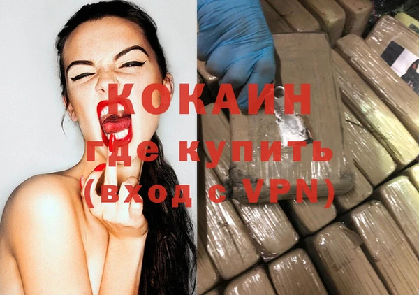 прущие грибы Пестово