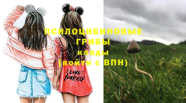 прущие грибы Пестово