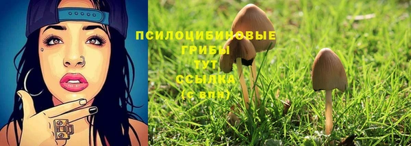 прущие грибы Пестово