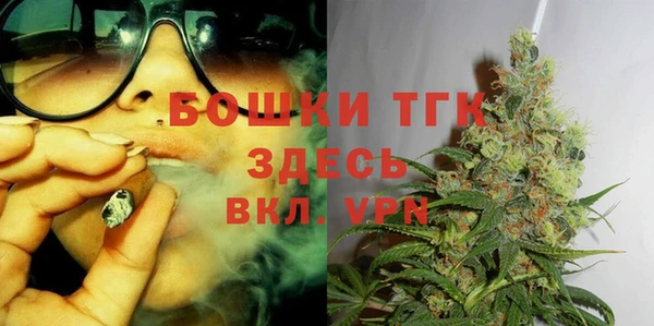 прущие грибы Пестово