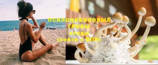 прущая мука Пересвет