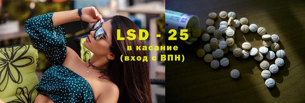 прущие грибы Пестово