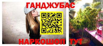 стаф Волжский