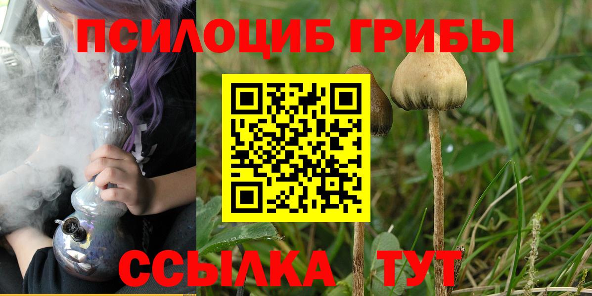 Галлюциногенные грибы MAGIC MUSHROOMS  Галлюциногенные грибы мухоморы  Бийск 