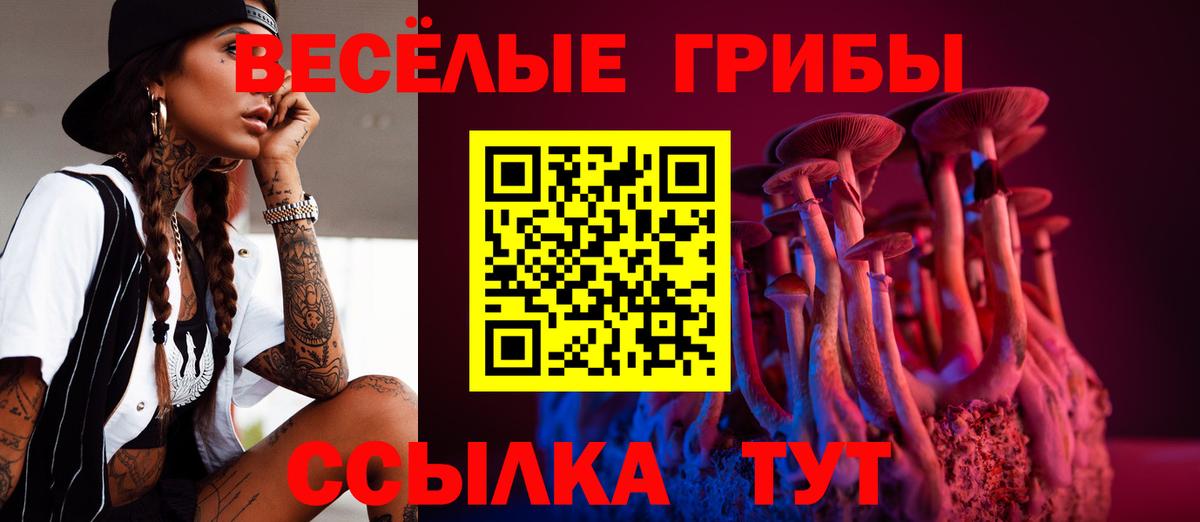 Псилоцибиновые грибы Psilocybine cubensis Бийск