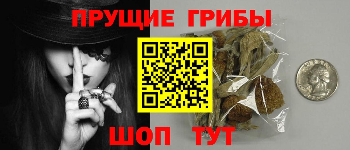 Бийск  Галлюциногенные грибы прущие грибы  Вход с VPN 