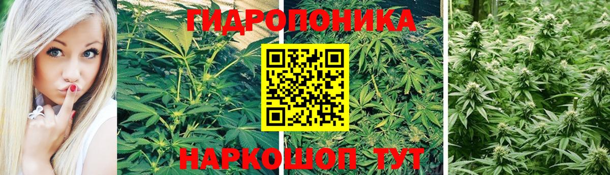 Бийск  МАРИХУАНА White Widow  Бошки марихуана Ganja  Вход с VPN  Марихуана ГИДРОПОН  МАРИХУАНА OG Kush 